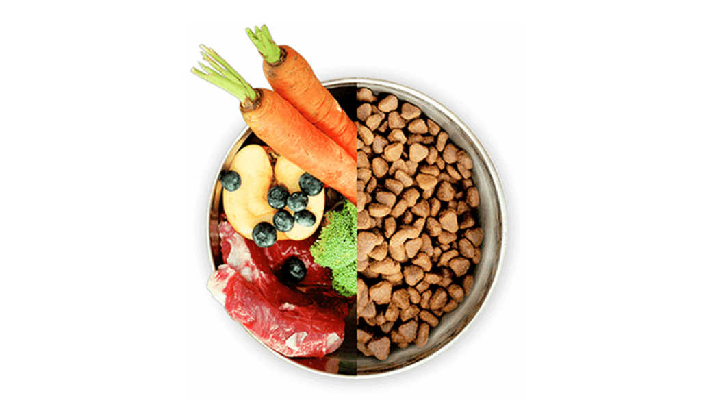 Dieta mista per cani e gatti