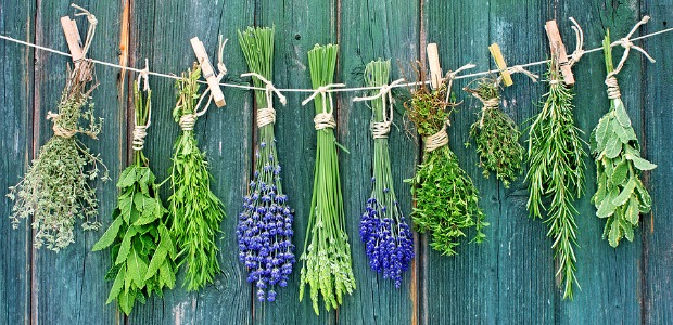 erbe-aromatiche-2